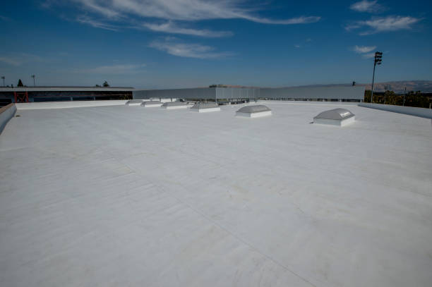 Best Metal Roofing Installation  in Tamalpais Homestead Valley, CA