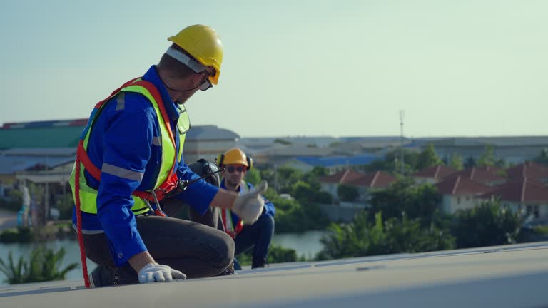 Best Roof Maintenance and Cleaning  in Tamalpais Homestead Valley, CA